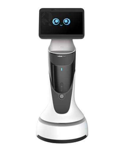 Empfangsroboter im Handel Informationsroboter im Handel